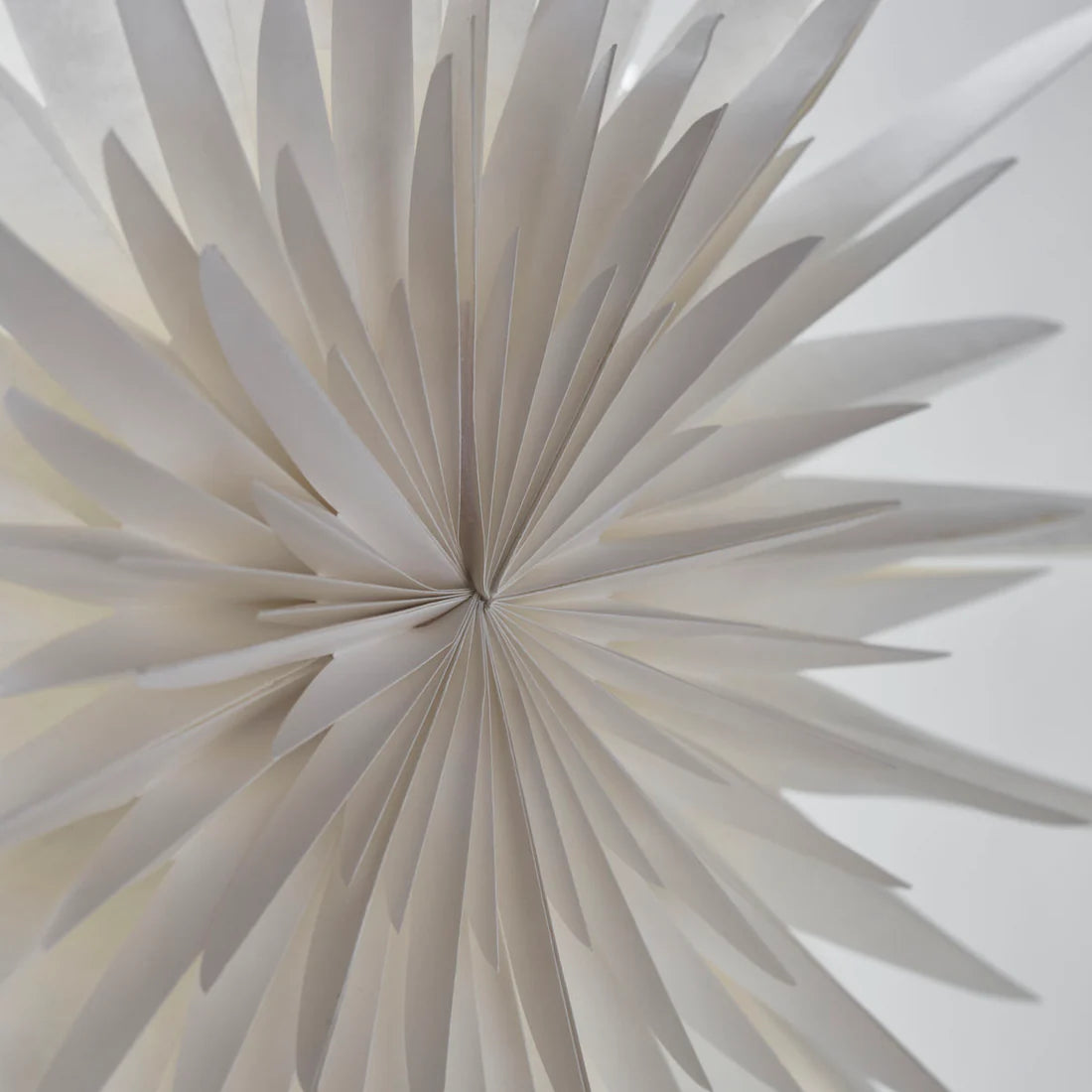 Star Dust - Off-White