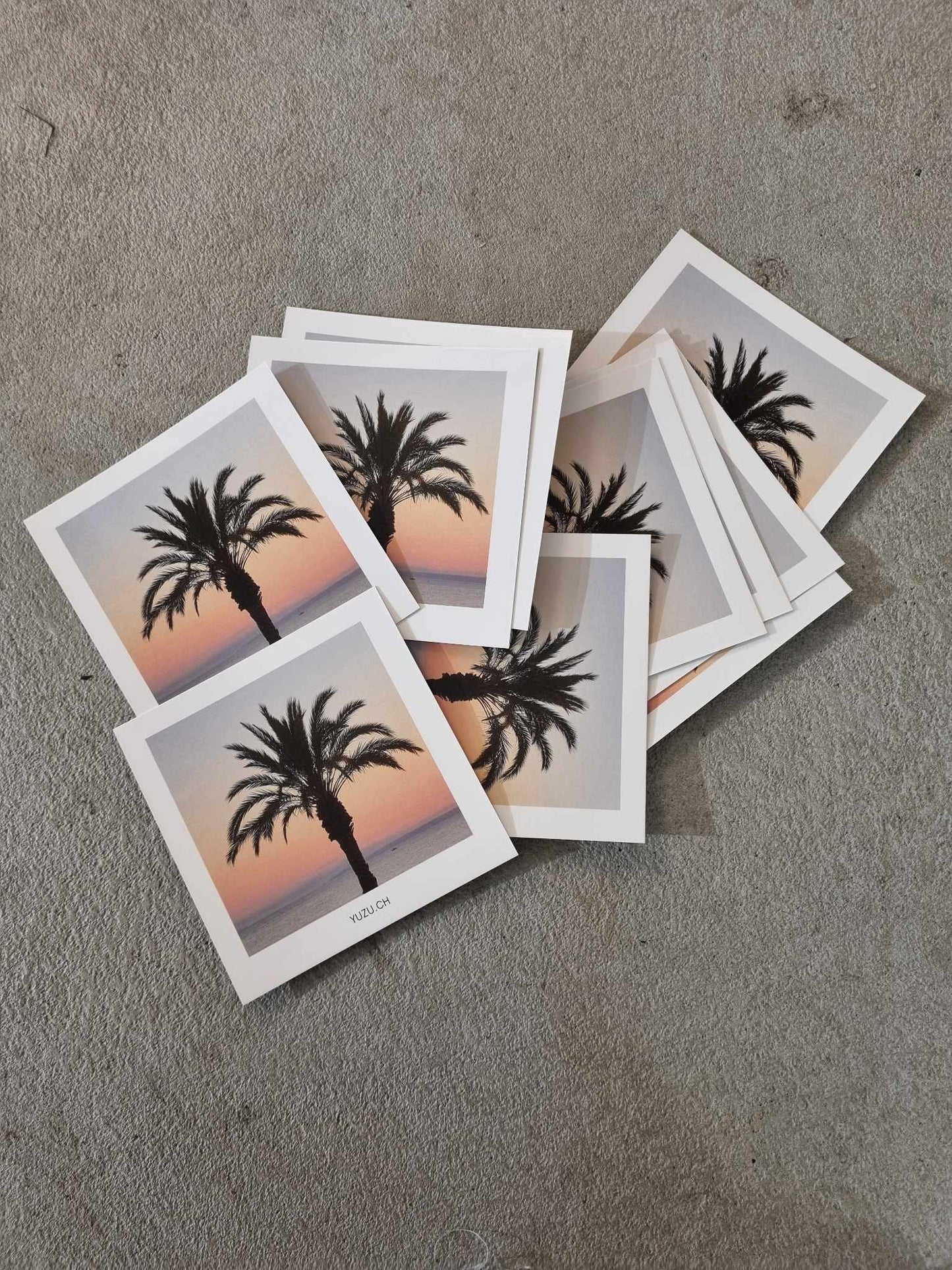 Postcard - Palm