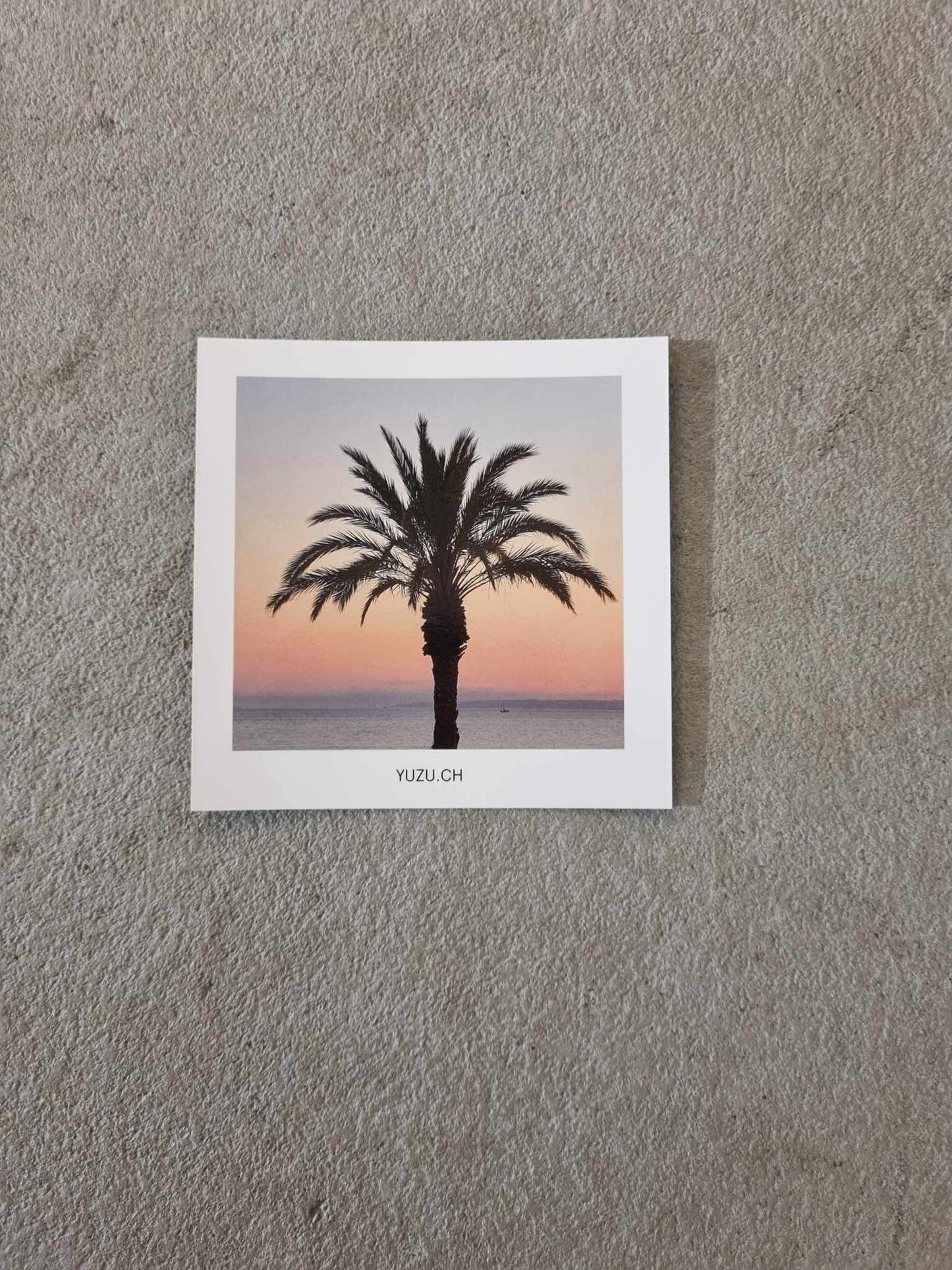 Postcard - Palm
