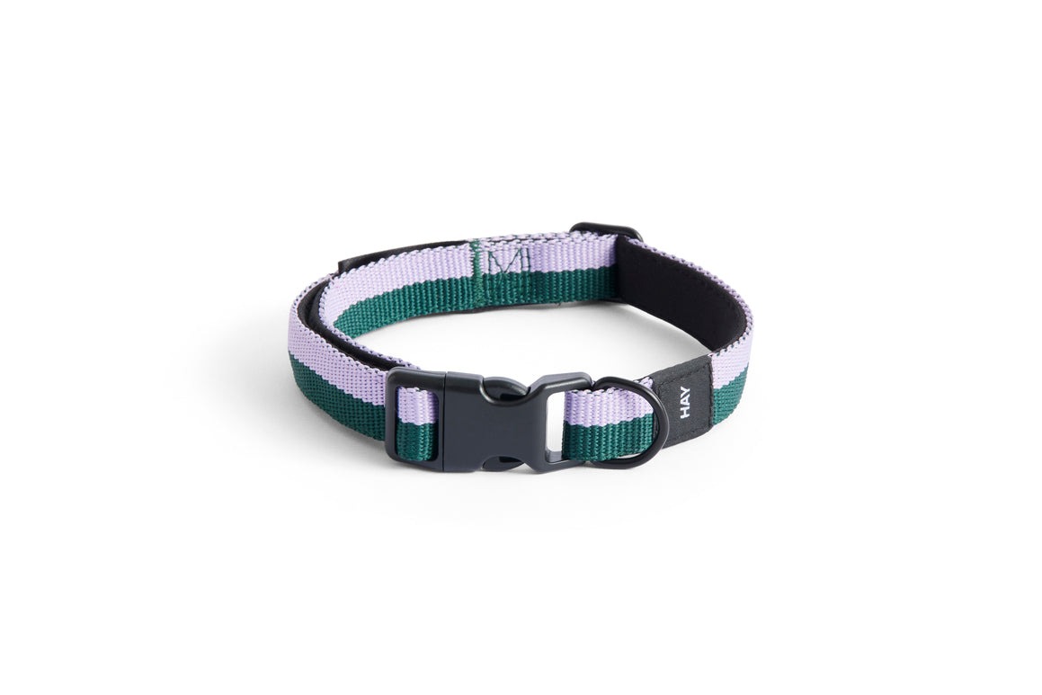 HAY DOGS Collar Flat - S/M - Lavender & Green