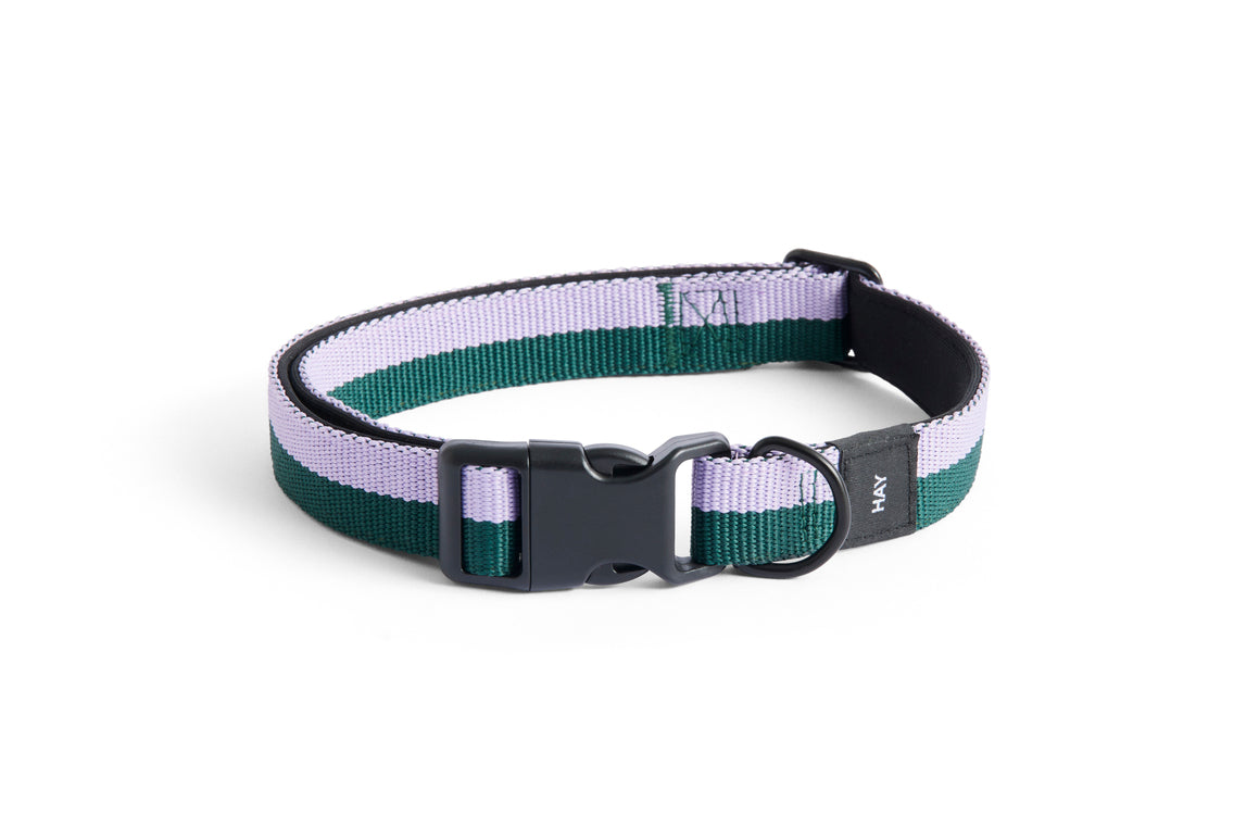 HAY DOGS Collar Flat - M/L - Lavender & Green