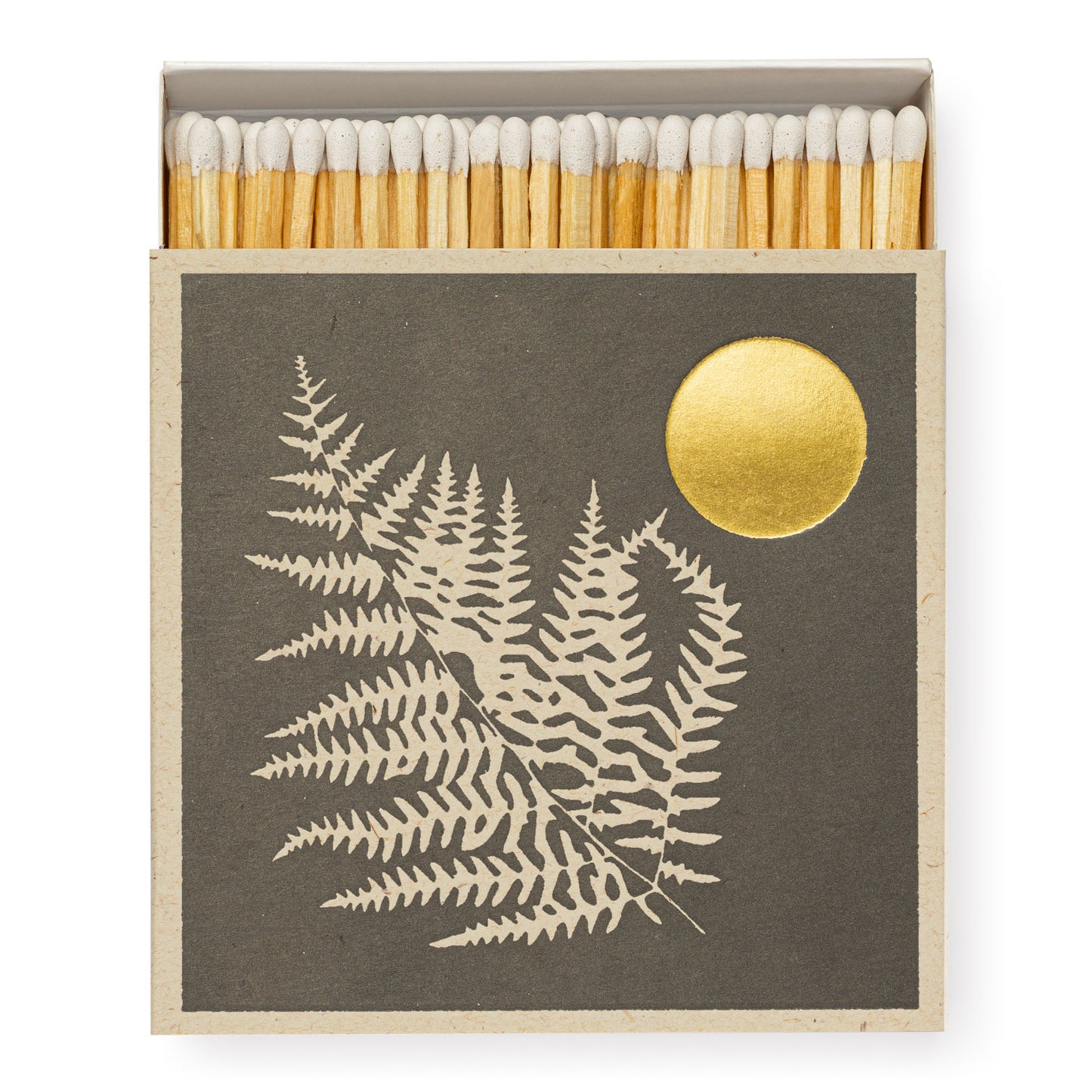 Matchbox - Fern by Daren Thomas Magee