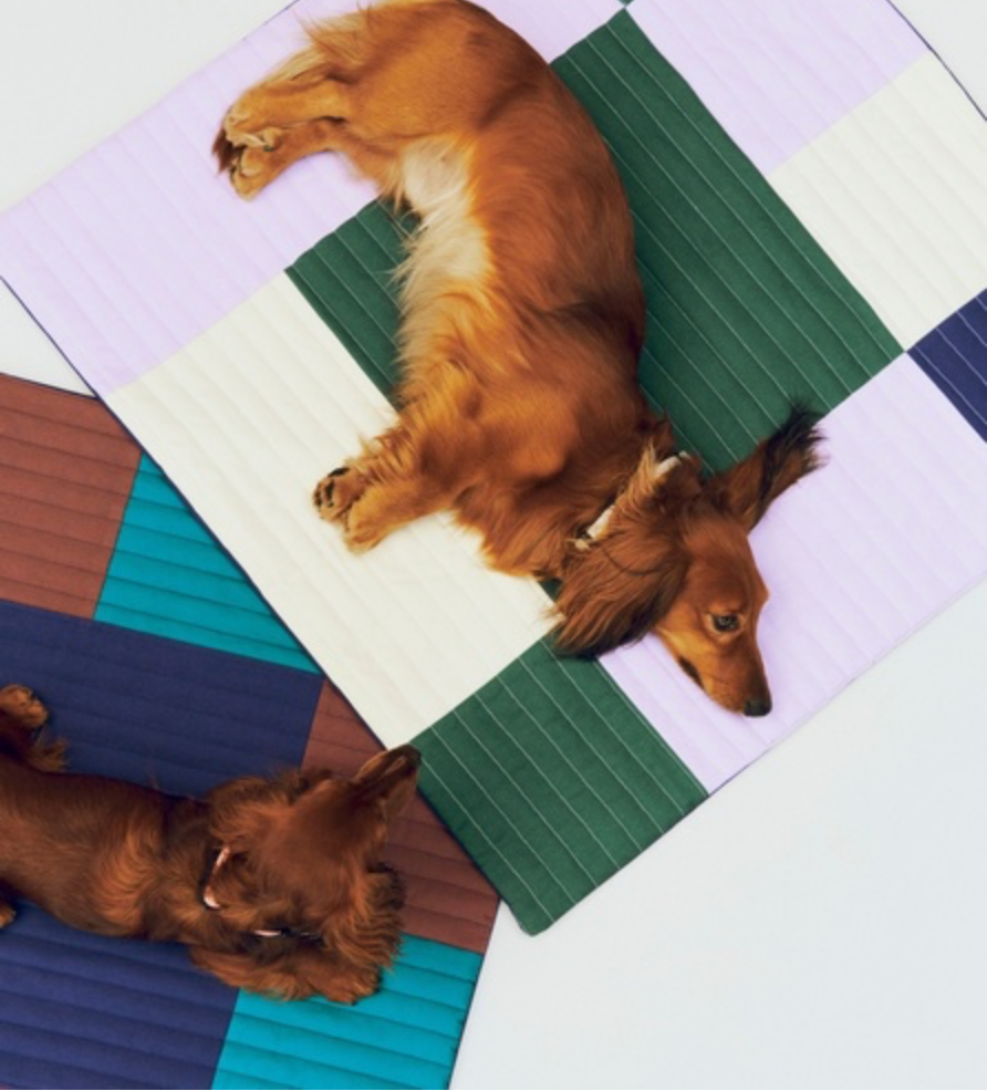 HAY DOGS TRAVEL BLANKET-80 X 80 CM - BURGUNDY, GREEN, BLUE QUILTED