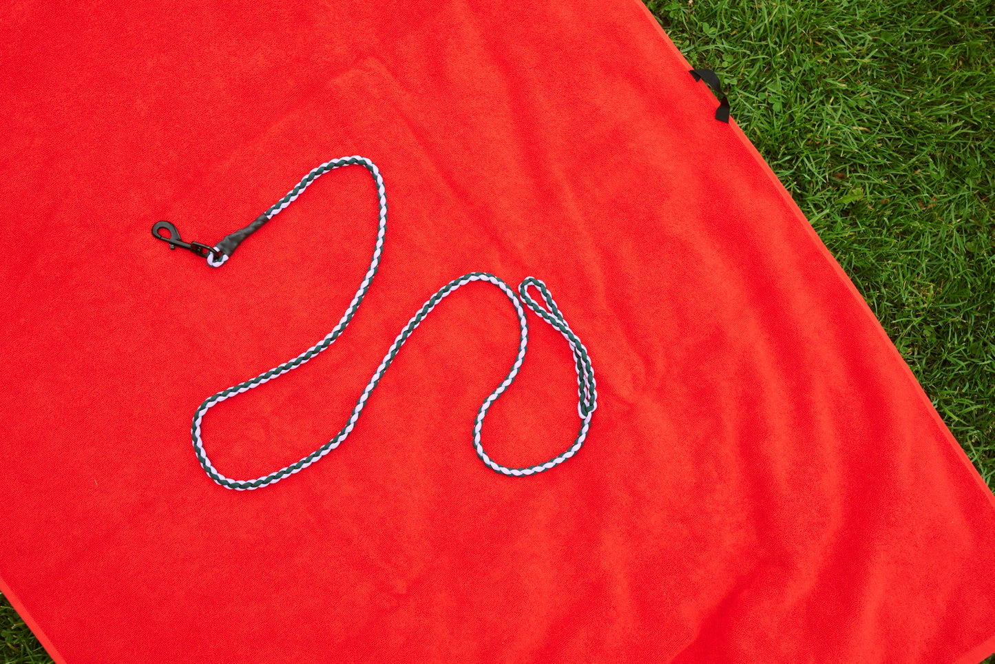 HAY DOGS Leash Braided - Lavender & Green