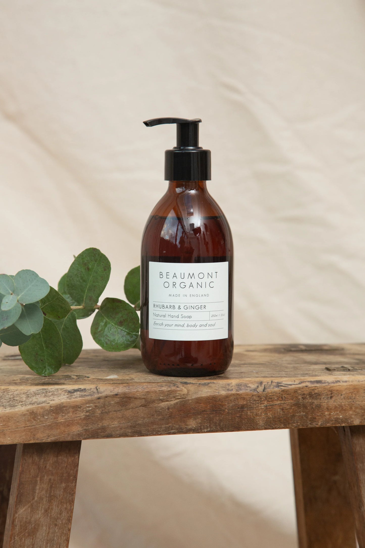 Hand & Body Wash - Rhubarb & Ginger