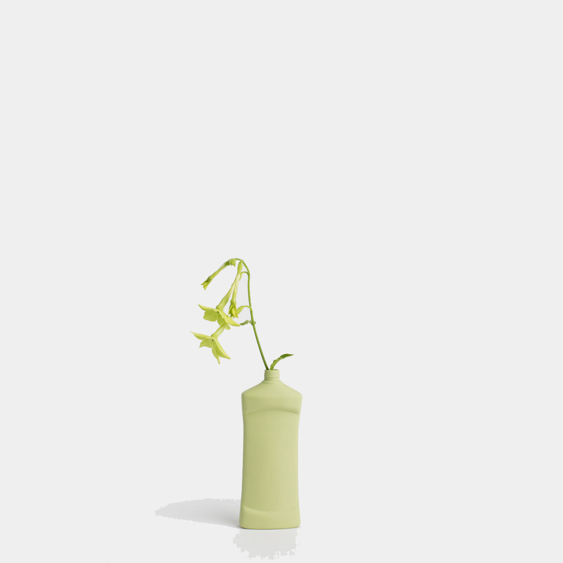 Porcelain Bottle Vase #14 - spring