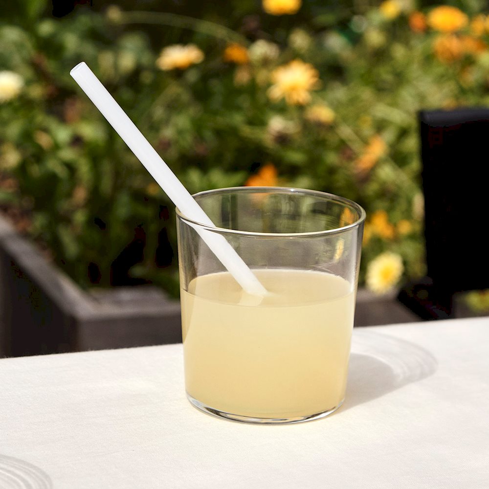 SIP - SMOOTHIE STRAW SET OF 4 - OPAQUE MIX