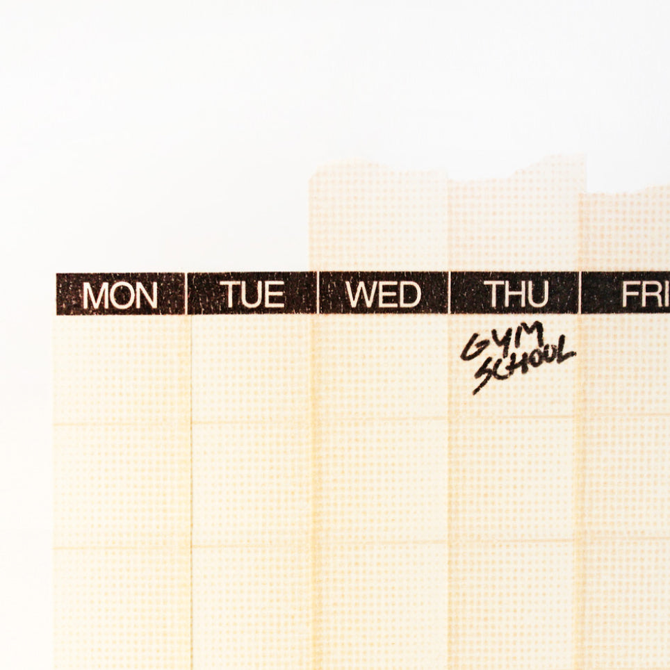 YEAR ROUND (EIGHT ROLLS OF 10M TAPE)