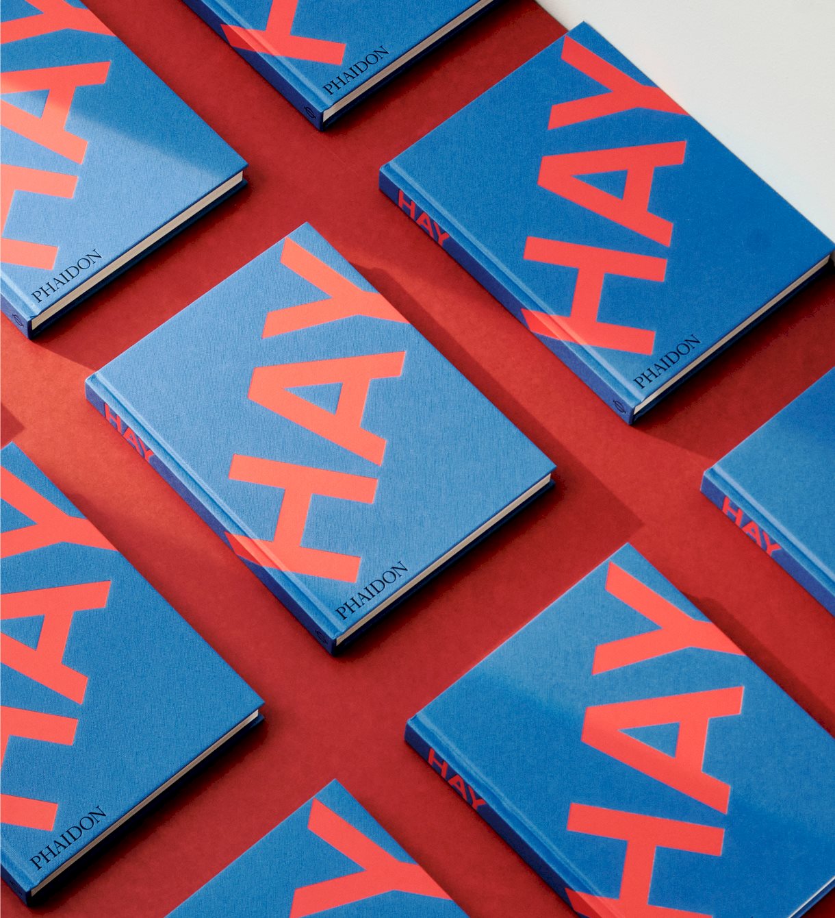 "HAY" BOOK PUBLISHED BY PHAIDON