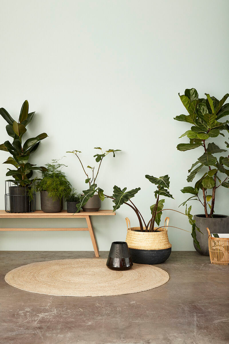 Daze Baskets - Anthracite/Natural