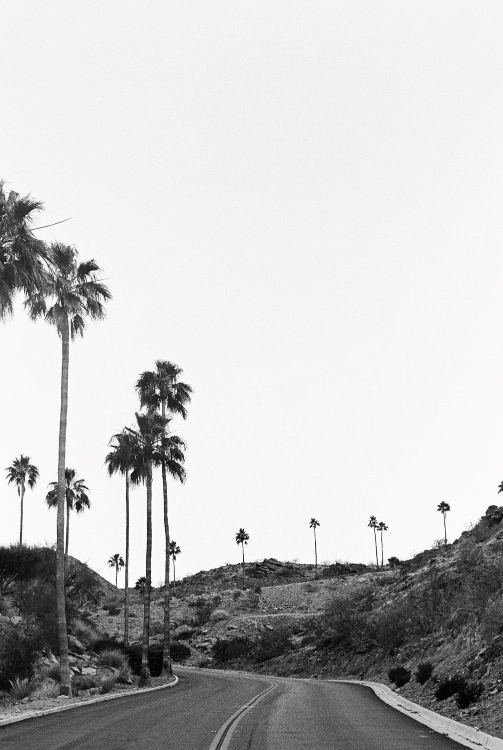 PALM