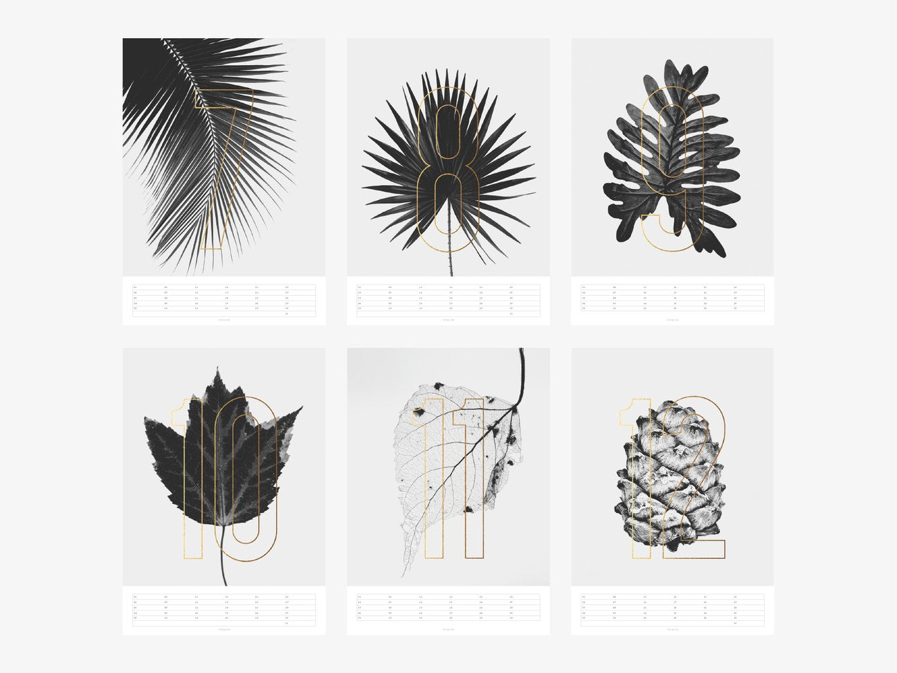 Wall Calendar / Plants – DIN A3