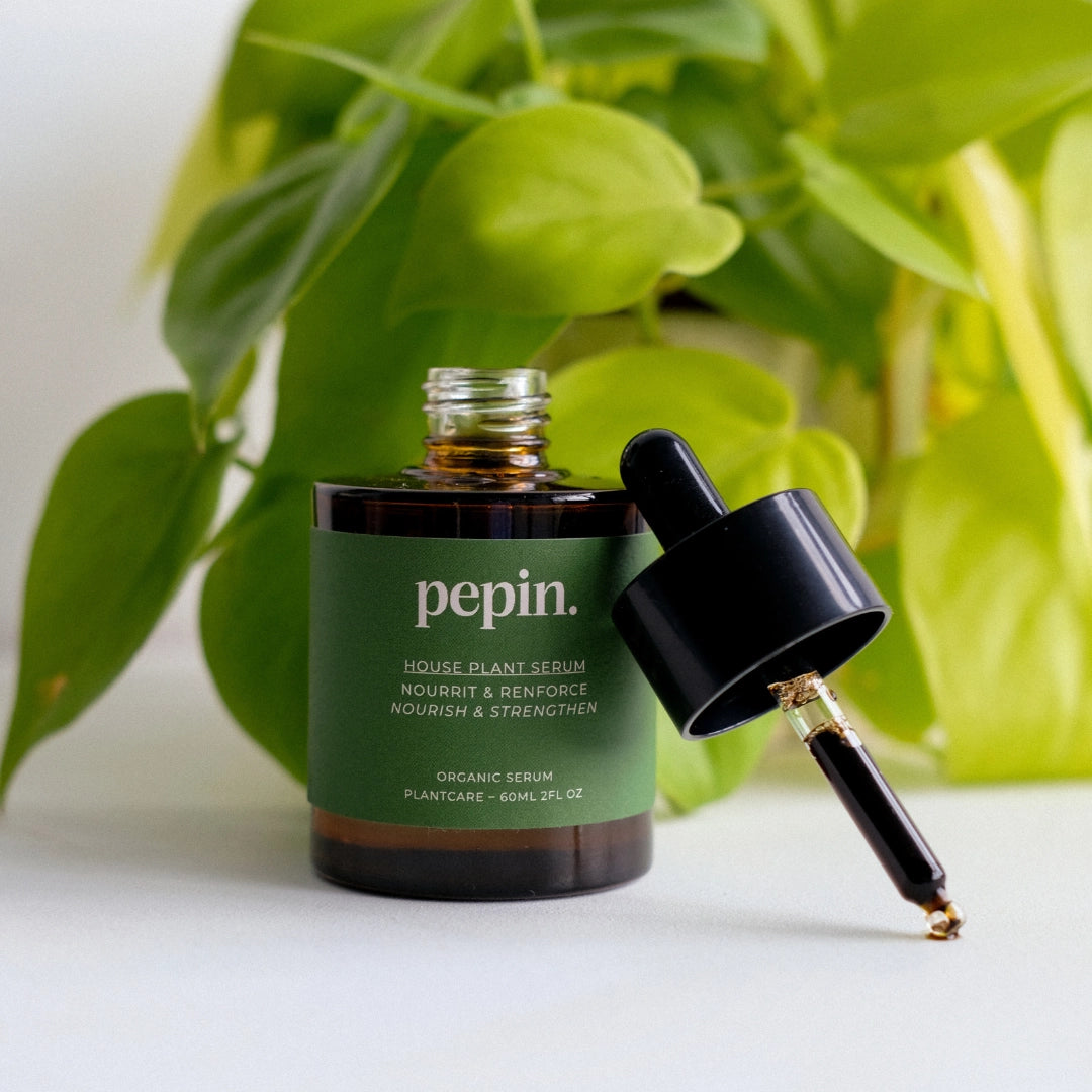Houseplant Serum - 60ml