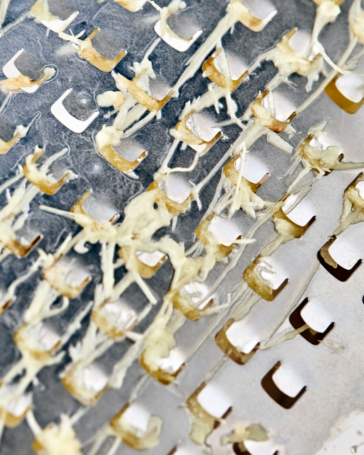 Grater - Fine
