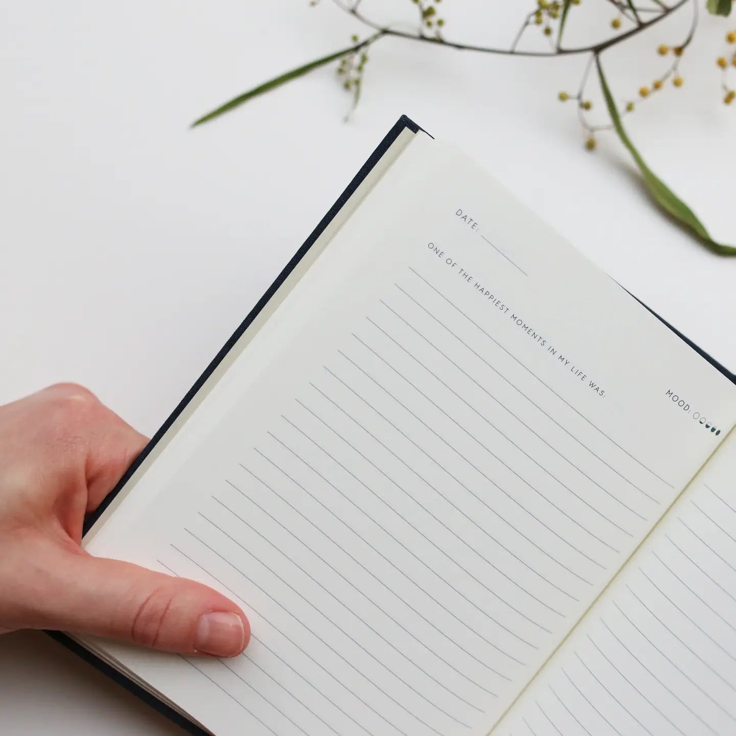 Guided Journal - Reflections