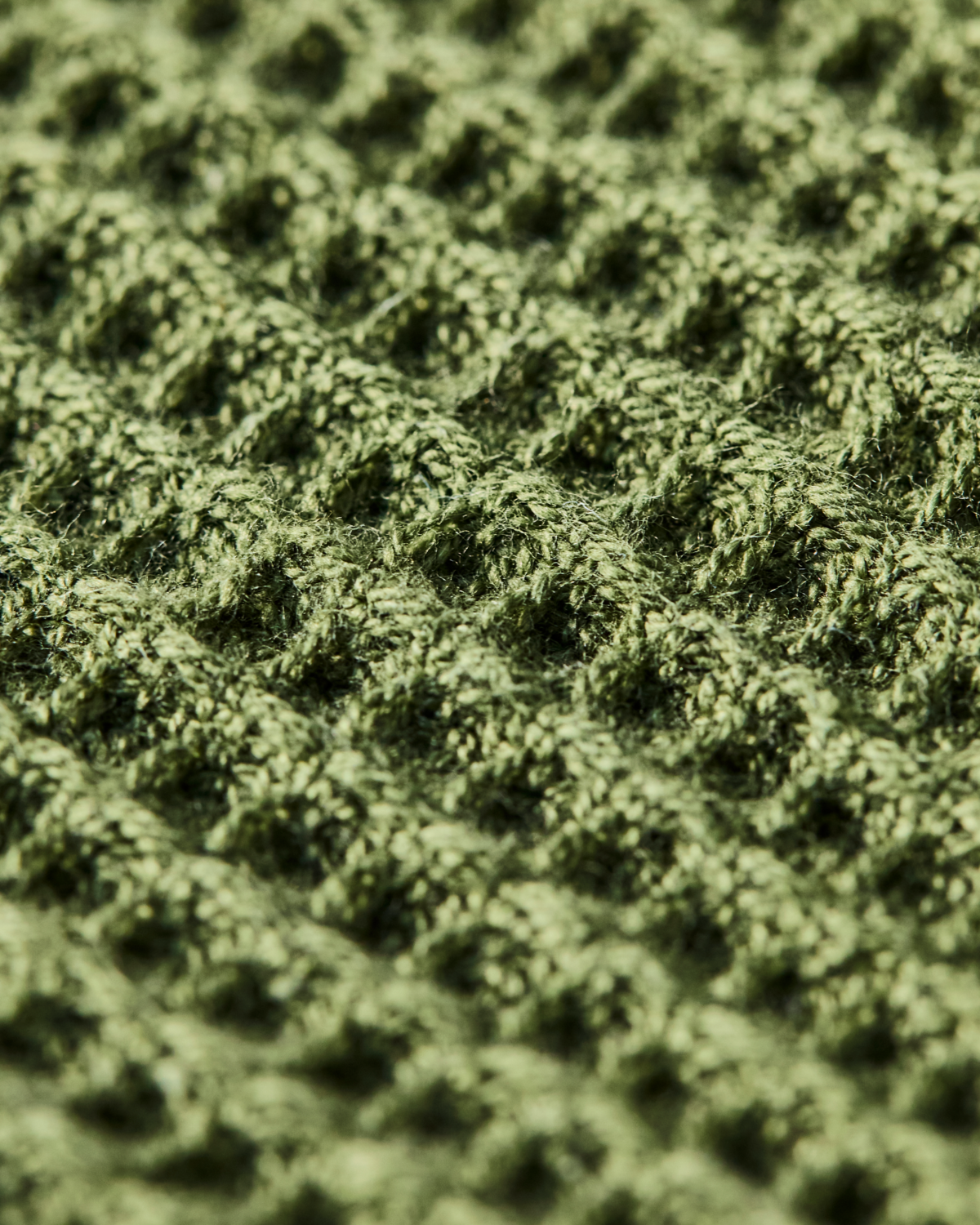 Dish Cloth - Green - Set of 2