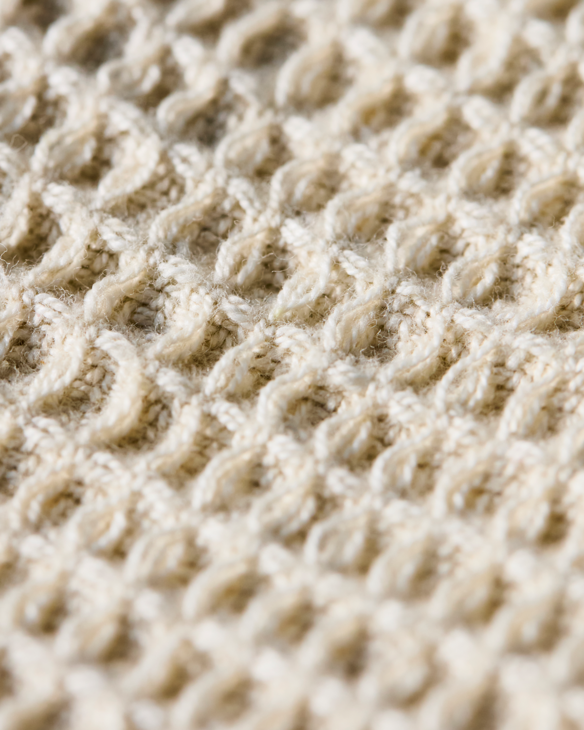 Dish Cloth - Beige - Set of 2