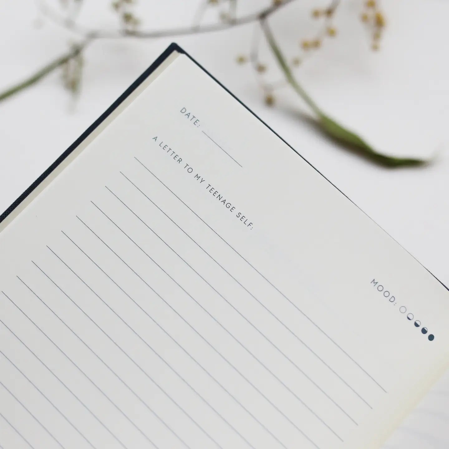 Guided Journal - Reflections