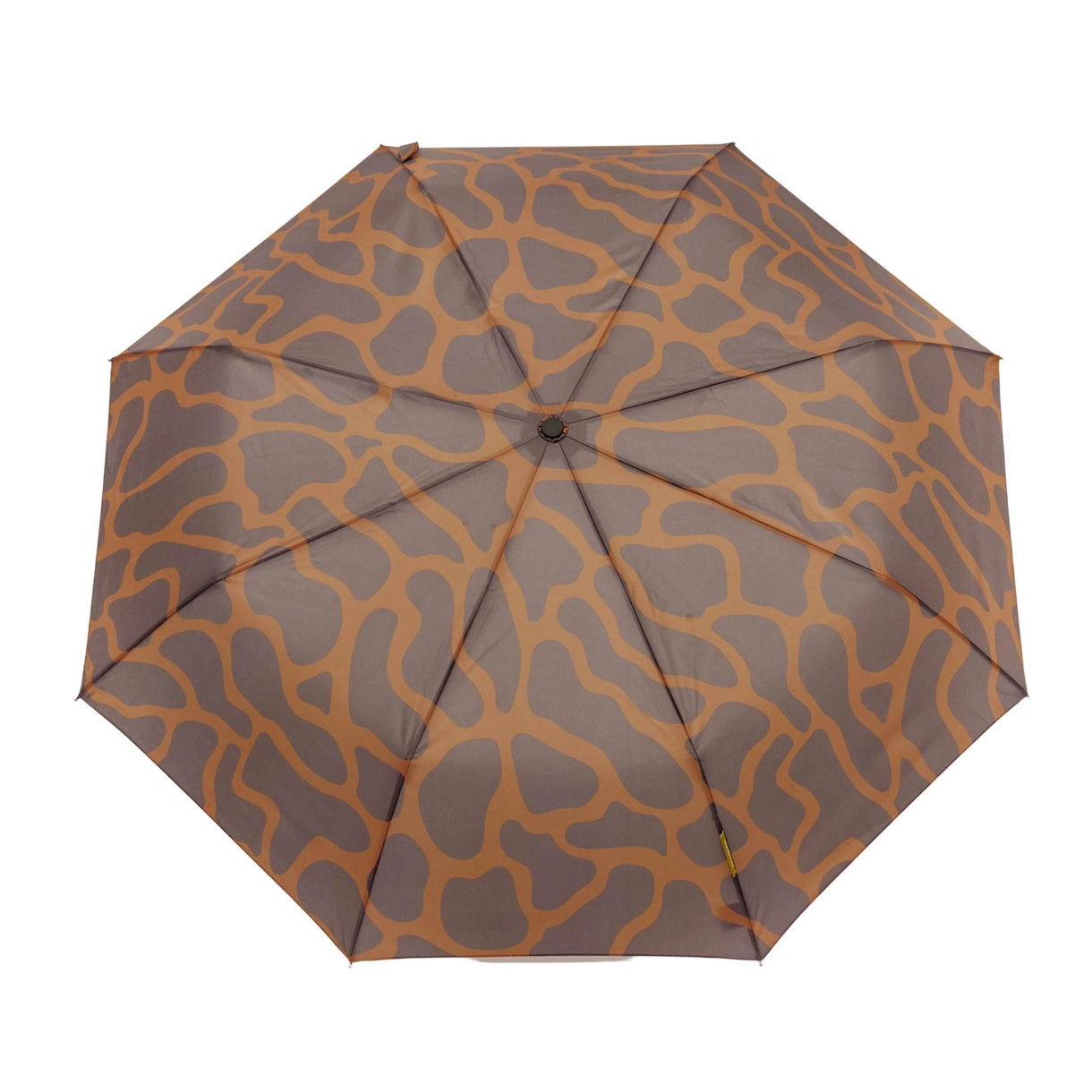 The Daily - Coffee Ripples - Premium Automatic Umbrella