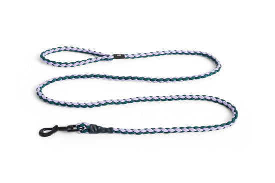 HAY DOGS Leash Braided - Lavender & Green