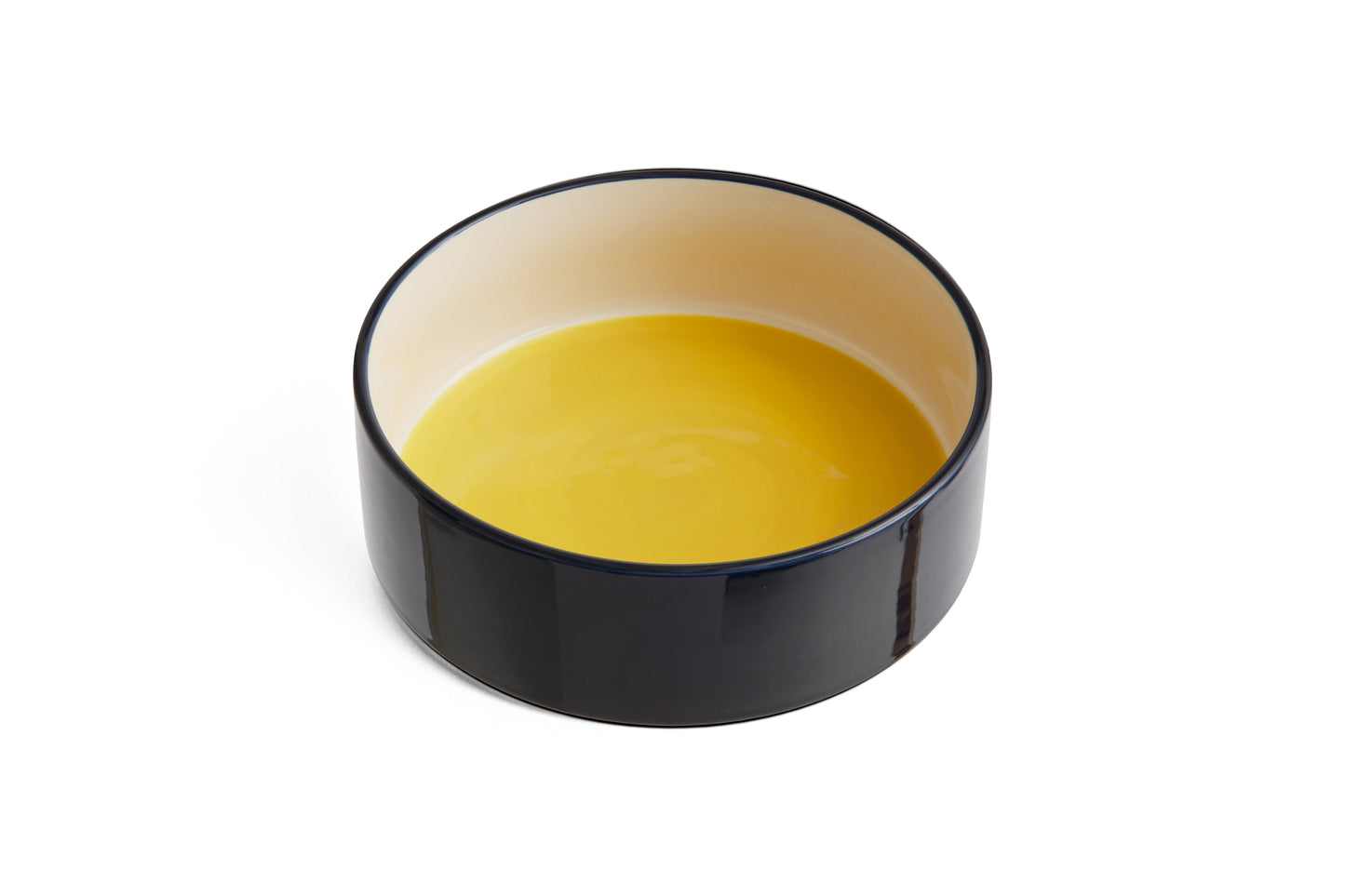 HAY DOGS Bowl - L - Yellow & Blue
