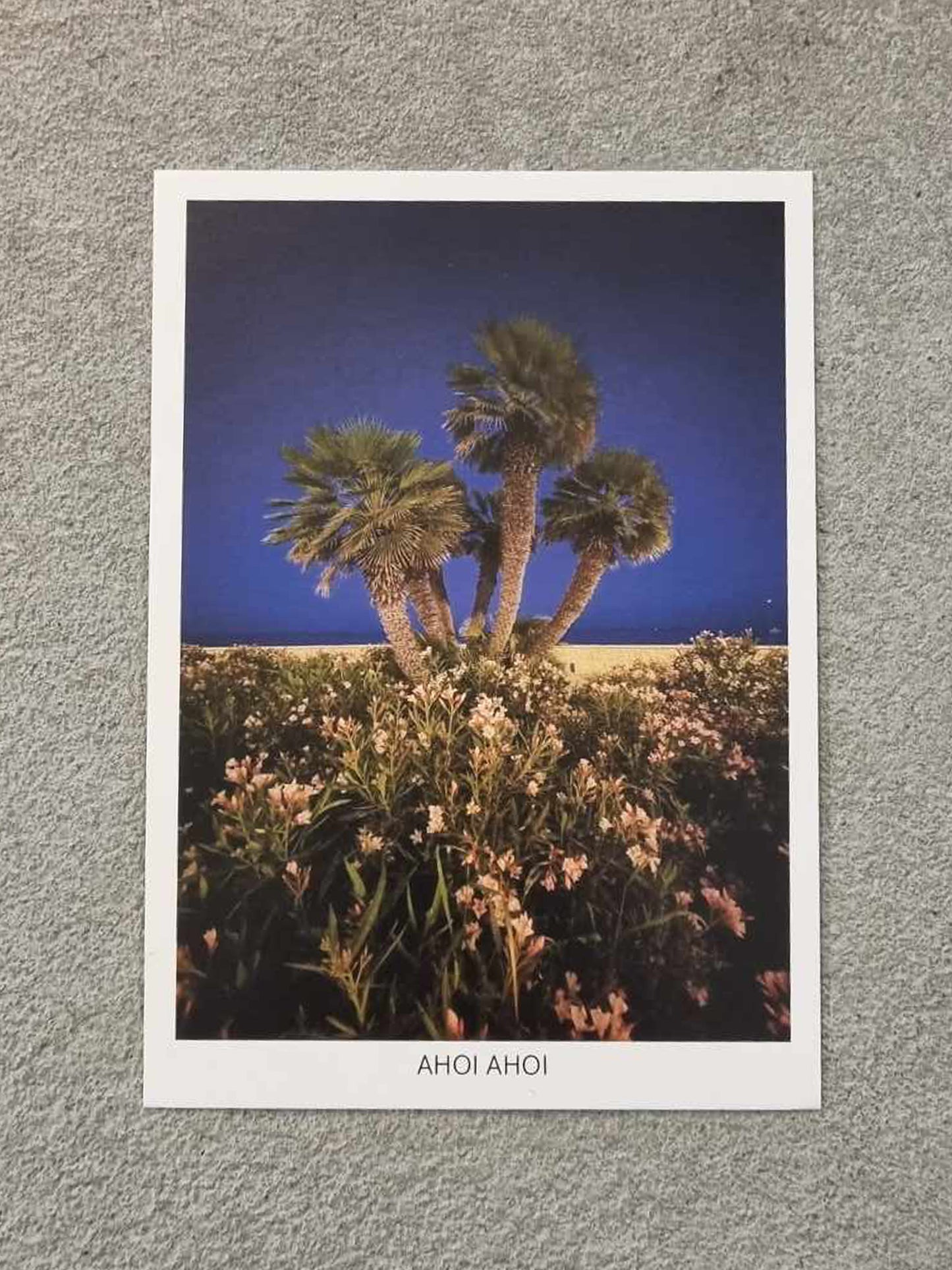 Postcard - Cala Ratjada Palms