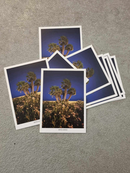 Postcard - Cala Ratjada Palms