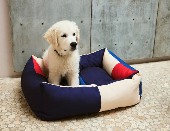 HAY DOGS Bed - M - Red & Blue