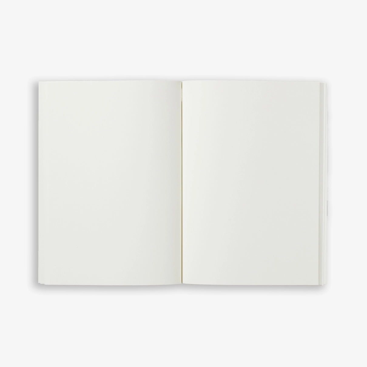 Small Notebook Lines - Dark Green
