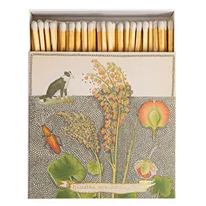 Matchbox - Chien Botanical Drawing