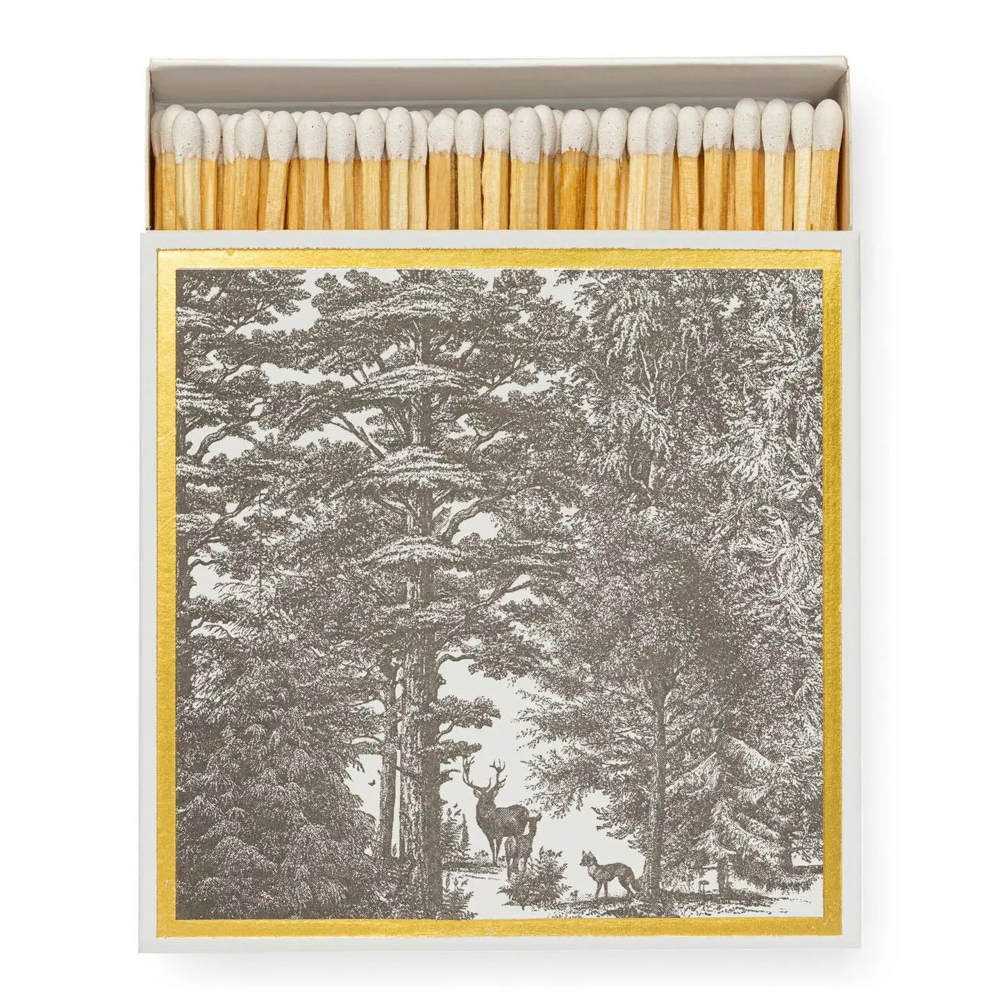 Matchbox - Enchanted Forest