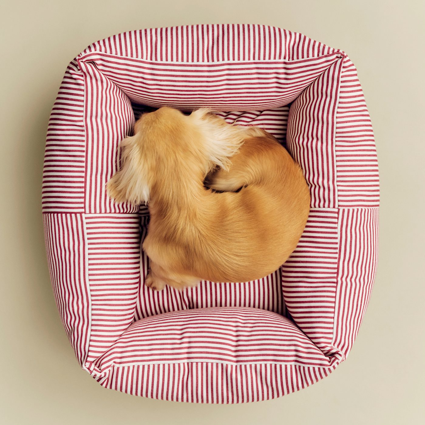 HAY Dogs Bed Zip - X-Small - Red & White Stripe