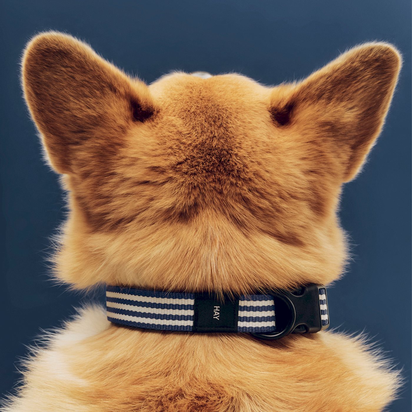 HAY Dogs Collar Flat - S/M - Blue & White Stripe