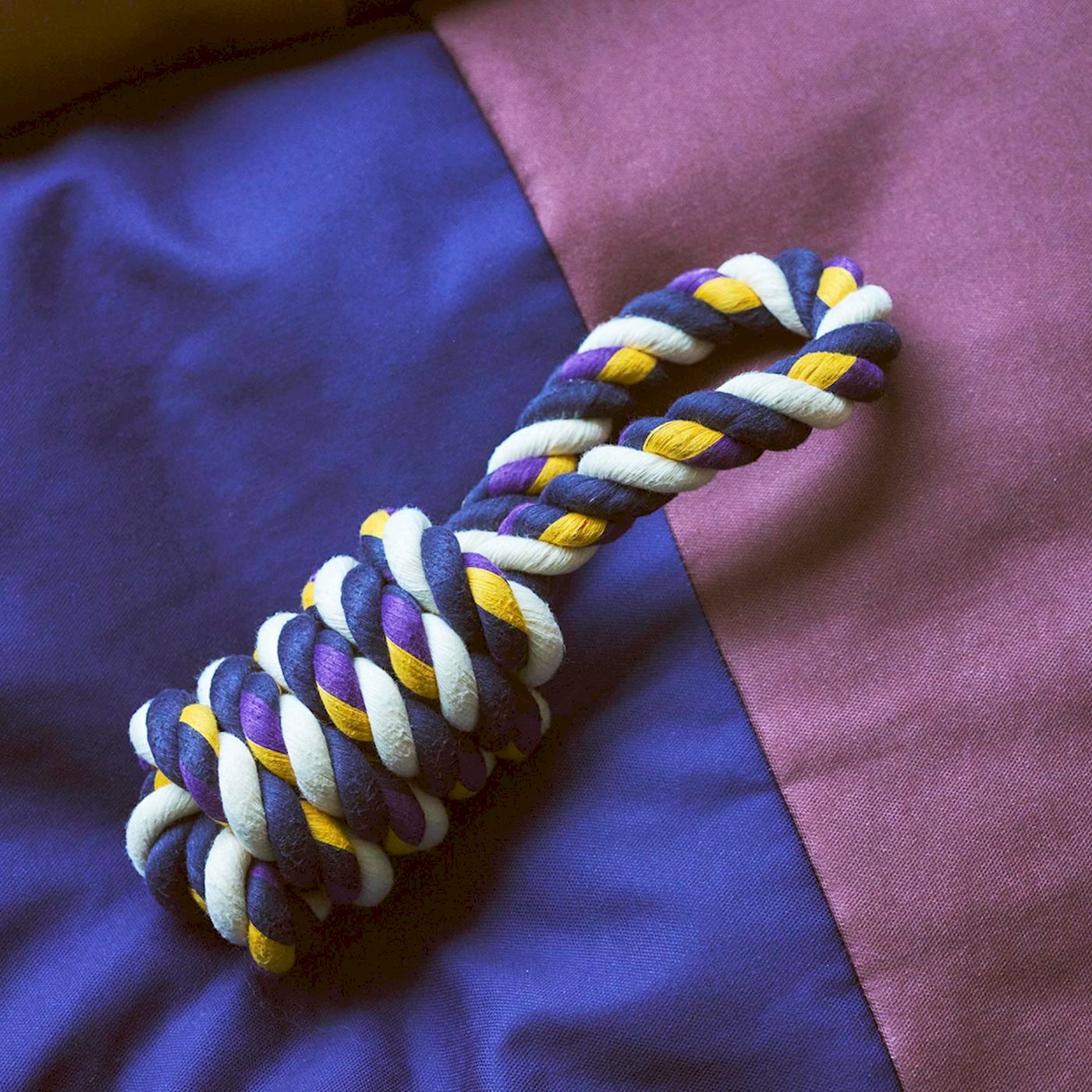 HAY Dogs Rope Toy - Blue, Purple & Ochre