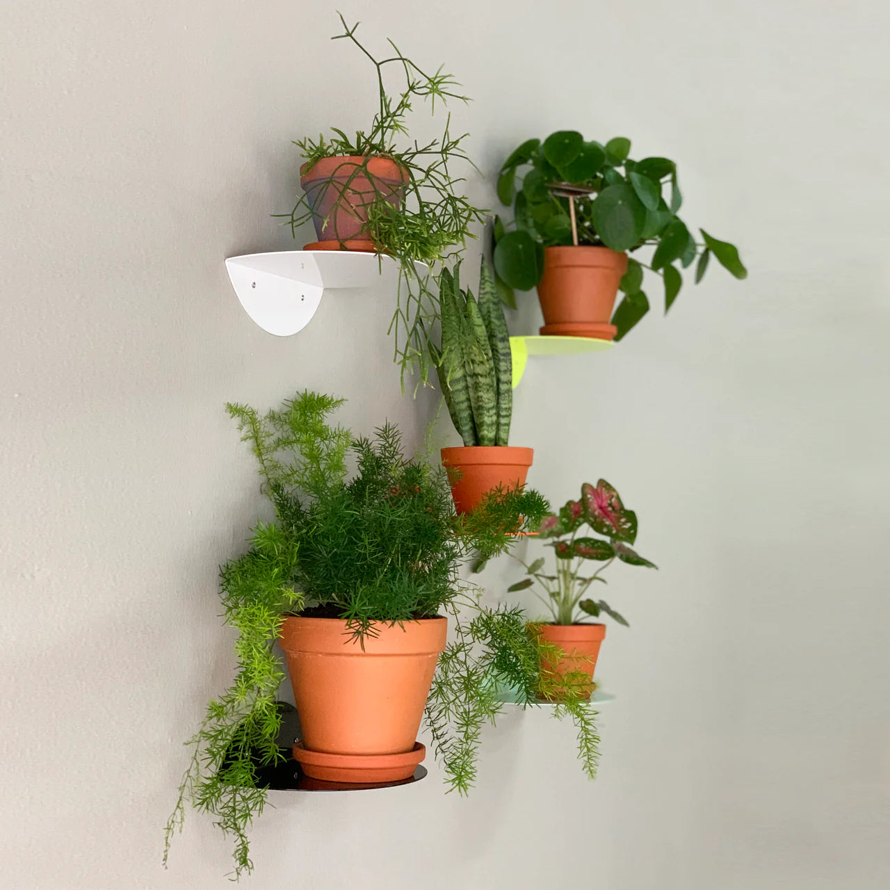 Dot Shelf - White