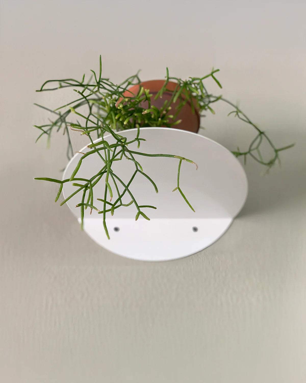 Dot Shelf - White