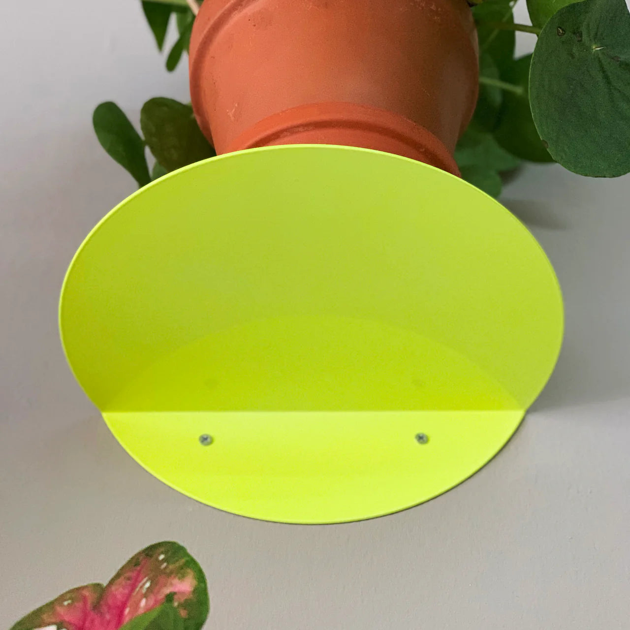 Dot Shelf -  Neon Yellow
