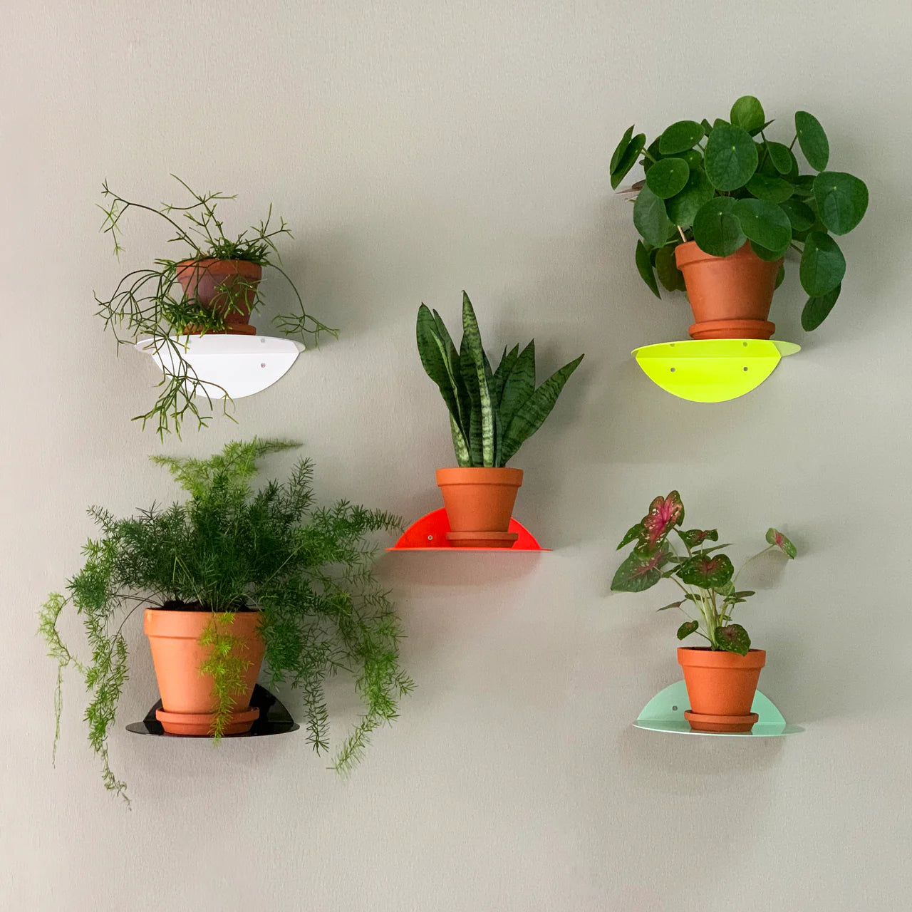 Dot Shelf -  Neon Yellow