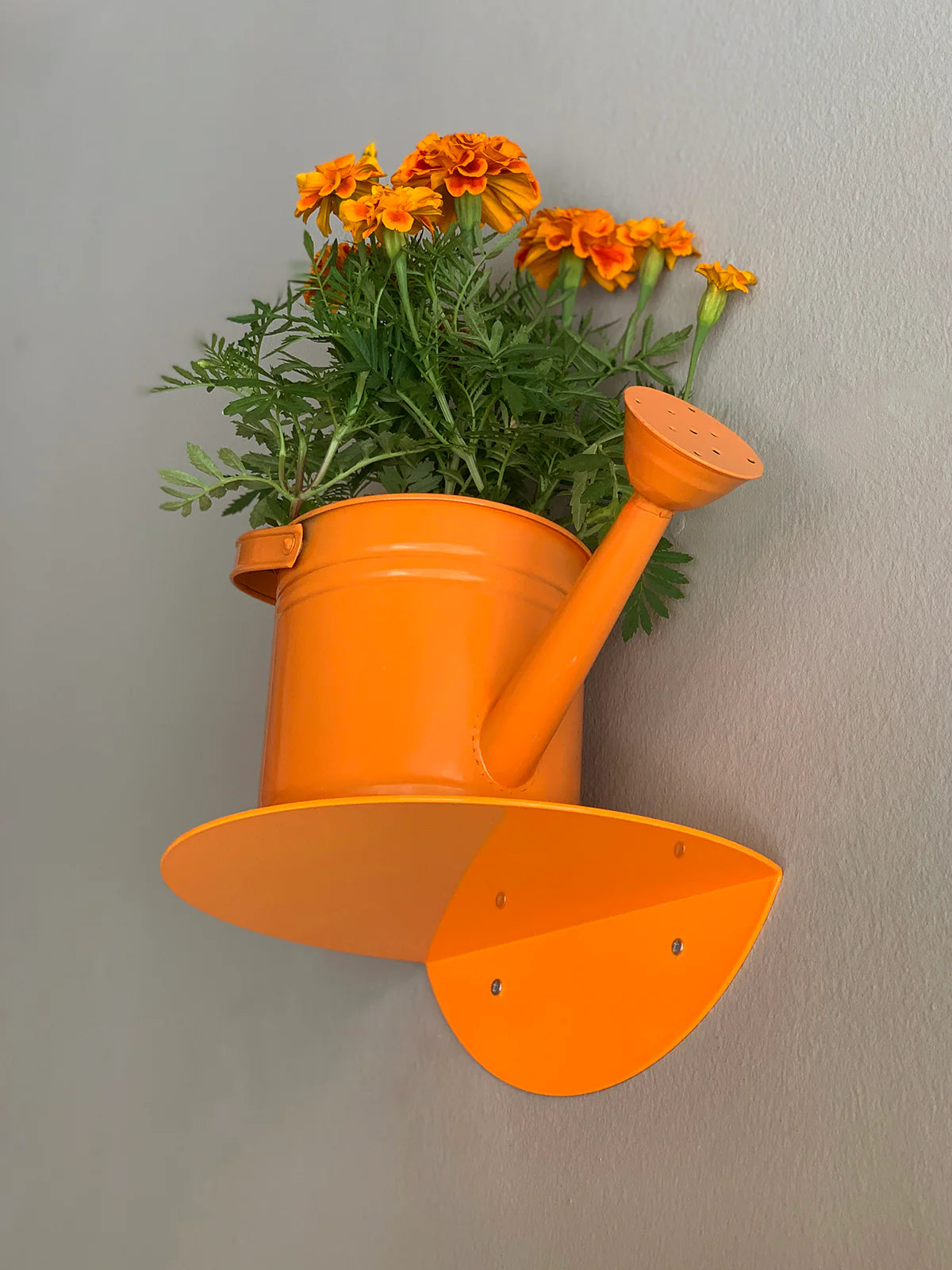 Dot Shelf -  Neon Orange