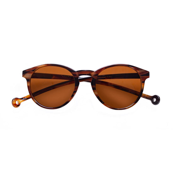 ISLA Sunglasses - Amber Tortoise